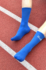 Blue rib logo socks